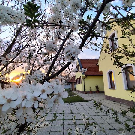 Idylicky Rodinny Penzion Arkadia Pri Dunajskej Cyklotrase Kyselica Екстериор снимка